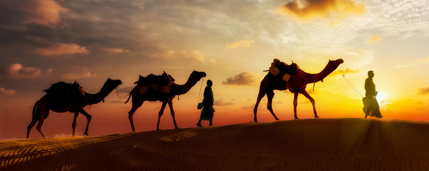 Cairo Day Tours