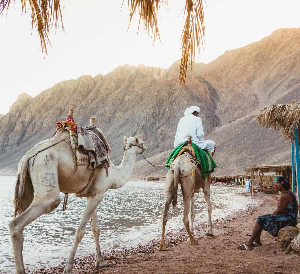 Taba Day Tours