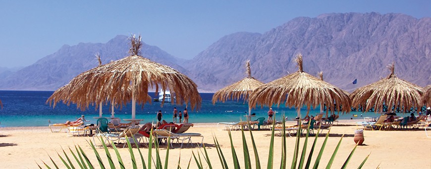 Red Sea Tours / Safari / Sea Trips