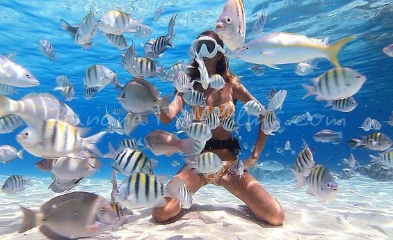 AIN SOKHNA / RED SEA / SNORKELING