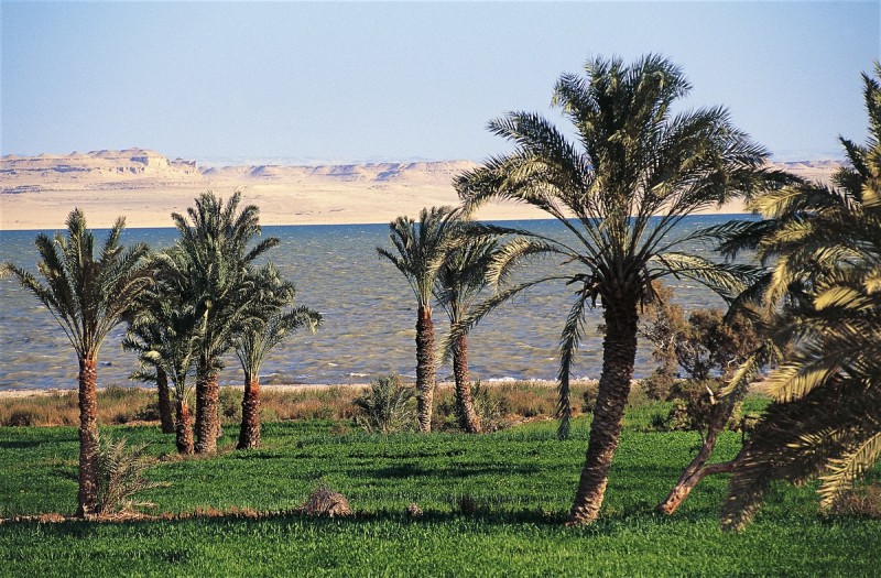 Excursión al oasis de Fayoum