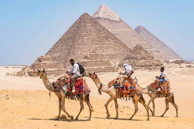 las pirámides con el camello