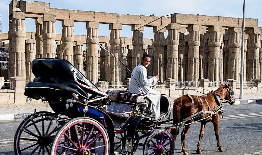 LUXOR TOUR BY HORSE CARRIAGE