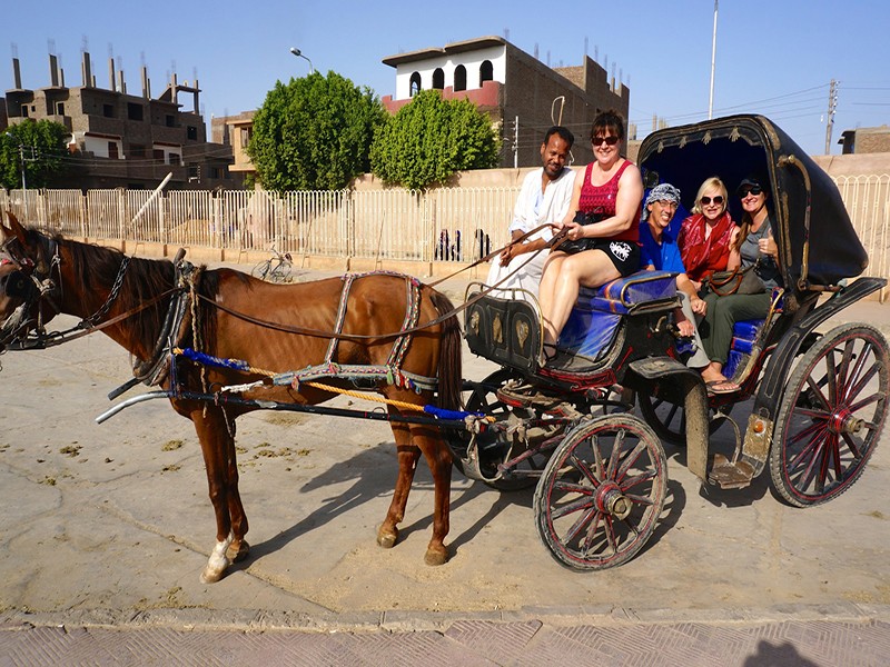 LUXOR TOUR BY HORSE CARRIAGE