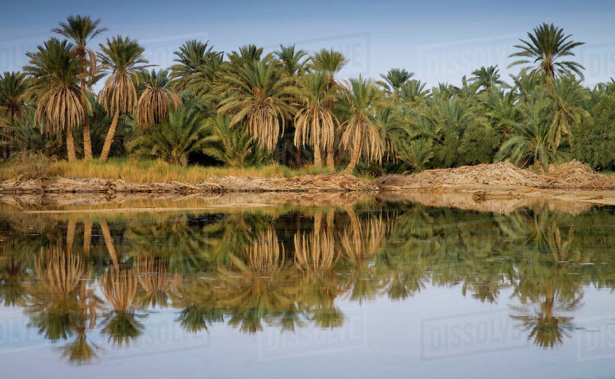 Fayoum oasis, Desert tours