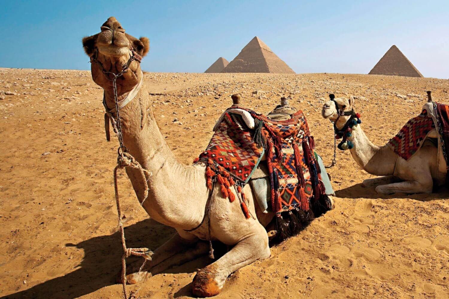 Egypt Pyramids Tour | Giza Tour