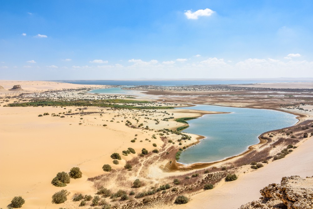 Fayoum Oasis Trip from Cairo