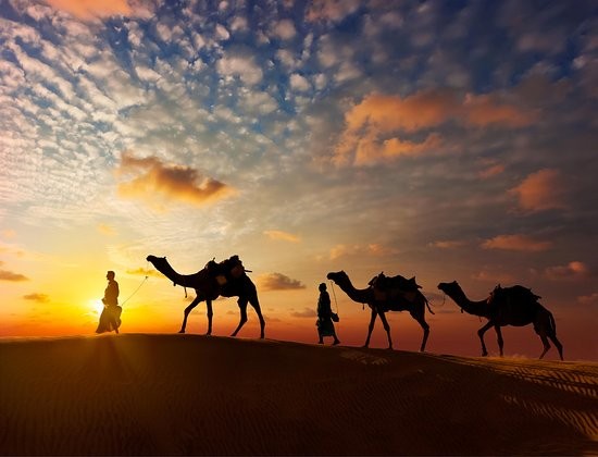 CAMEL RIDE AT THE PYRAMIDS | SUNSET